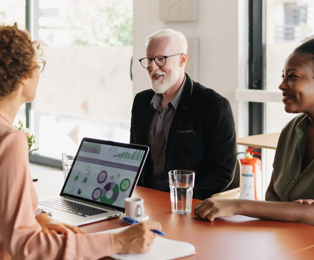 ERP consultants reviewing industry operations